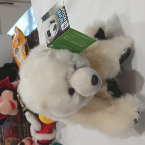 Polar bear